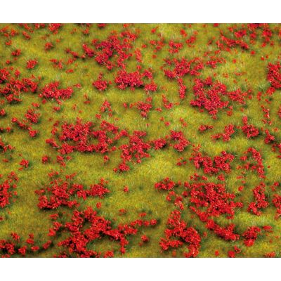 PREMIUM Landscape segment, Flowering meadow, red