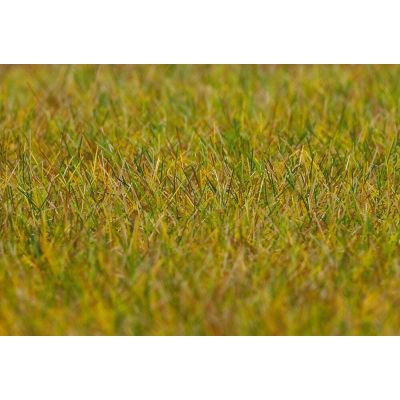 PREMIUM ground cover fibres, Meadow, light green, 6 mm, 30 g