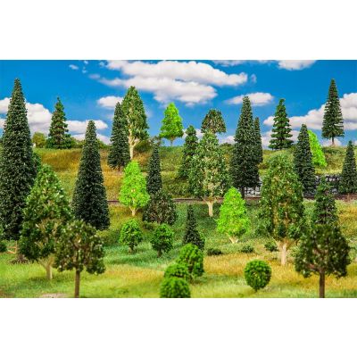 10 Mixed forest trees, assorted
